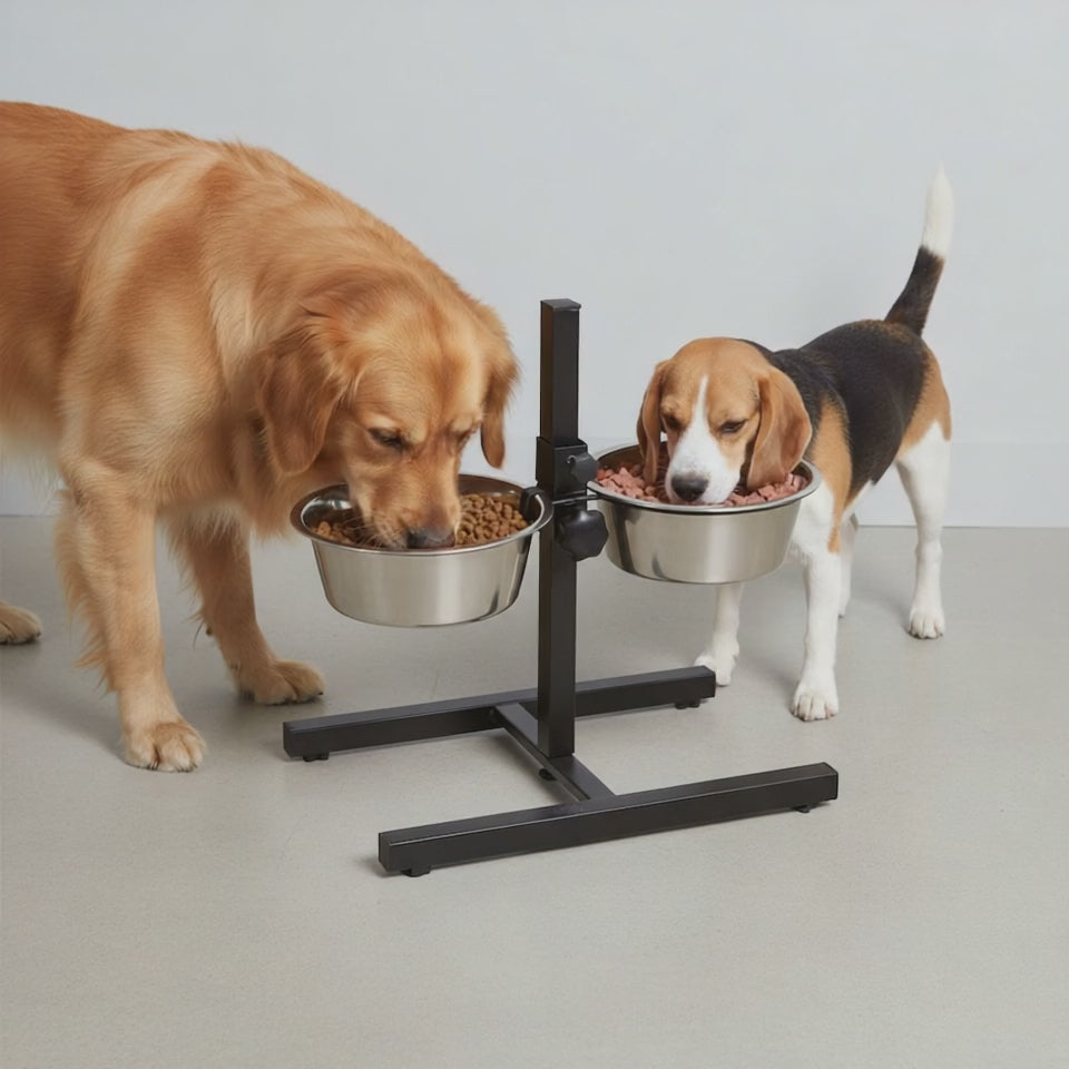 MODOVO Adjustable Elevated Pet Feeder – Raised Dog & Cat Bowl Stand with 2 Stainless Steel Bowls